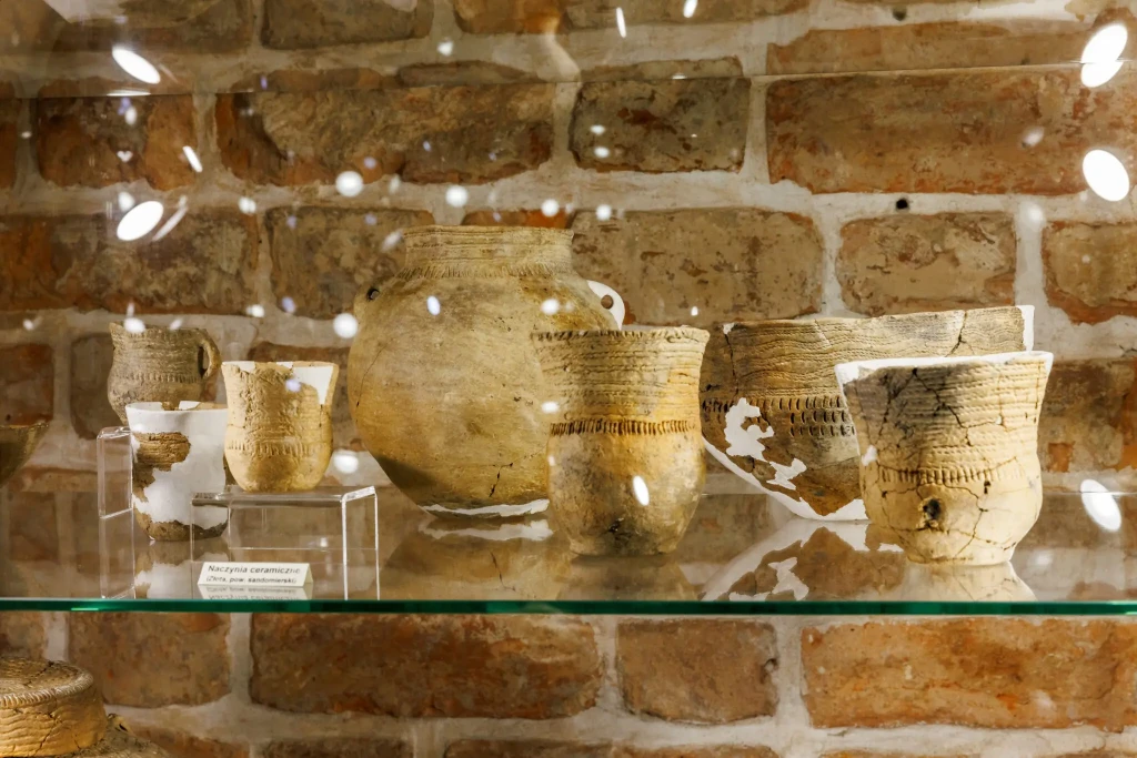 Finał grantu - Opracowanie materiałów kultury złockiej ze zbiorów Muzeum Zamkowego w Sandomierzu 1 Zlocka