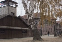 NA KARTACH HISTORII – WOJENNE LOSY … MIECZYSŁAW SZEWC AUSCHWITZ
