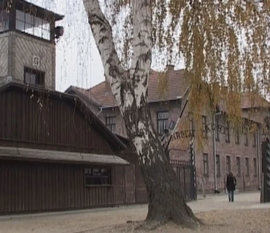 NA KARTACH HISTORII – WOJENNE LOSY … MIECZYSŁAW SZEWC AUSCHWITZ