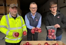 JABŁKA Z SERDUSZKIEM NA WALENTYNKI 2026 JABŁKA Z SERDUSZKIEM NA WALENTYNKI (1)