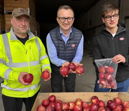 JABŁKA Z SERDUSZKIEM NA WALENTYNKI 2026 JABŁKA Z SERDUSZKIEM NA WALENTYNKI (1)