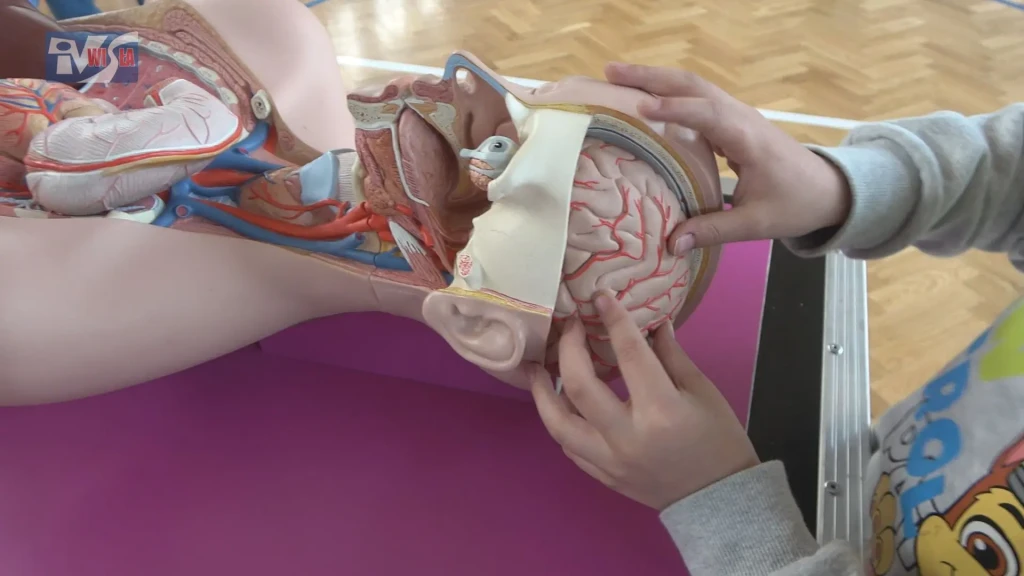 NAUKOBUS - NAUKA PRZEZ ZABAWĘ - SP NR 2 W GORZYCACH 2 NAUKOBUS W GORZYCACH (7)