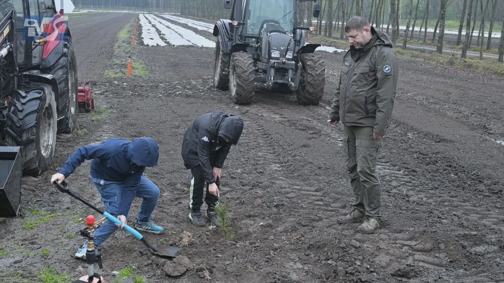 LAS DLA PRZYSZŁYCH POKOLEŃ (2)