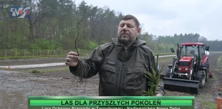 LAS DLA PRZYSZŁYCH POKOLEŃ LAS DLA PRZYSZŁYCH POKOLEŃ