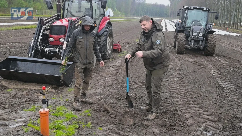 LAS DLA PRZYSZŁYCH POKOLEŃ (5)