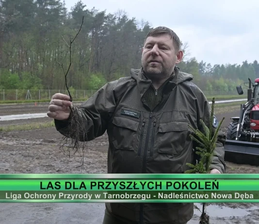 LAS DLA PRZYSZŁYCH POKOLEŃ LAS DLA PRZYSZŁYCH POKOLEŃ