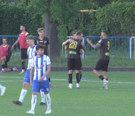 SIARKA TARNOBRZEG ZAGRA W FINALE – FAWORYT PEWNIE POKONAŁ STAL ŁAŃCUT