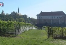 MUZEUM I CENTRUM WINIARSTWA – W SANDOMIERZU MA POWSTAĆ NOWA PLACÓWKA