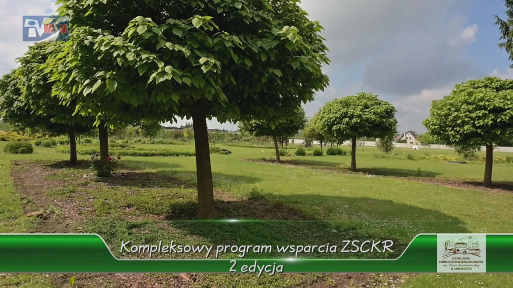 ZSCKR (2)
